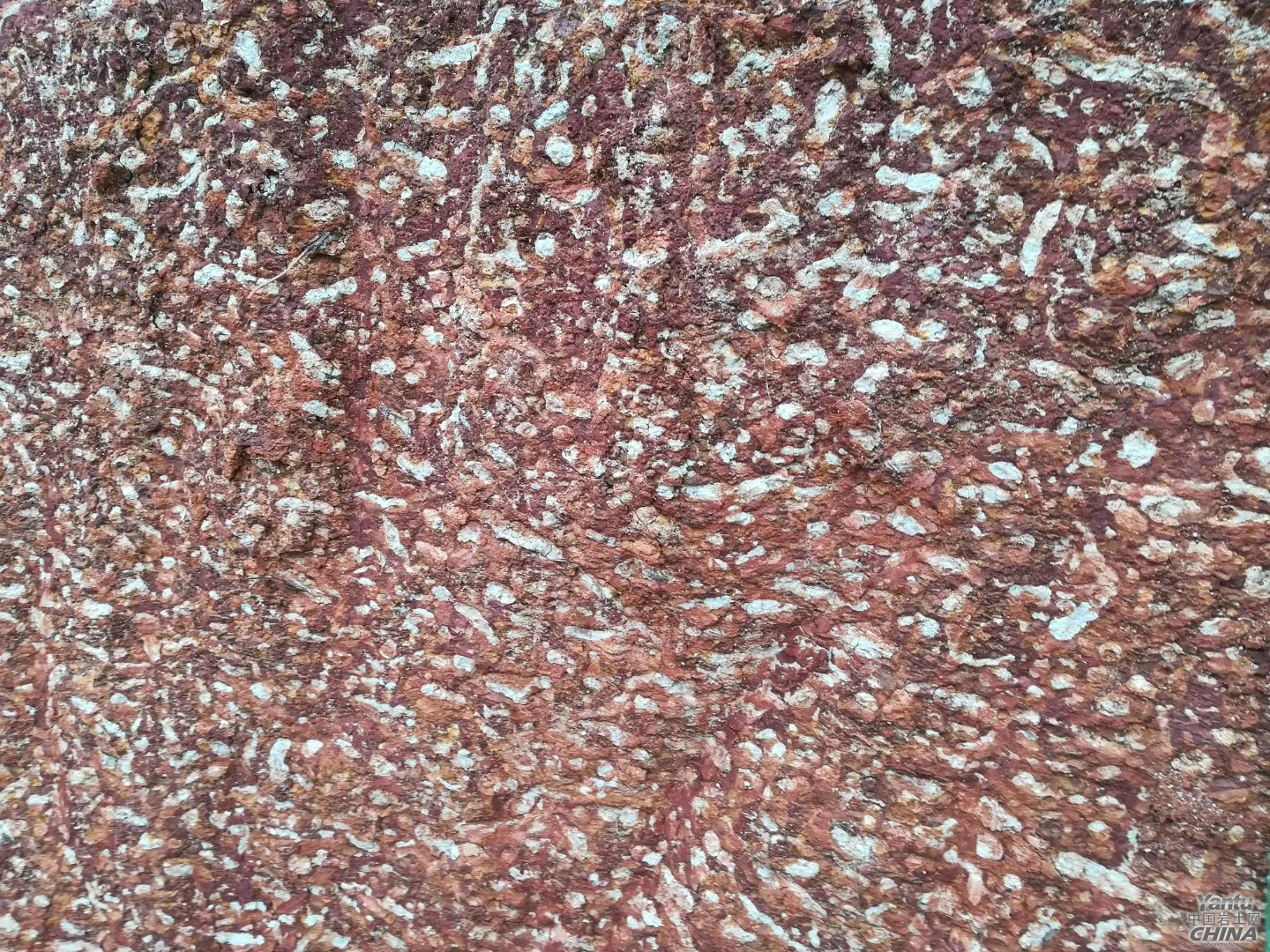 咏网纹红土岩土感悟32